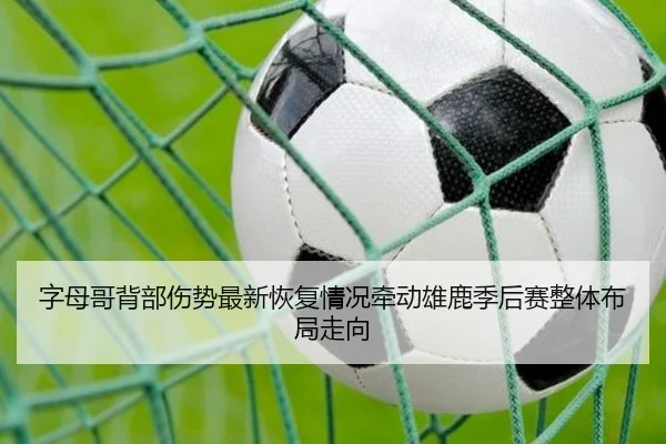 字母哥背部伤势最新恢复情况牵动雄鹿季后赛整体布局走向
