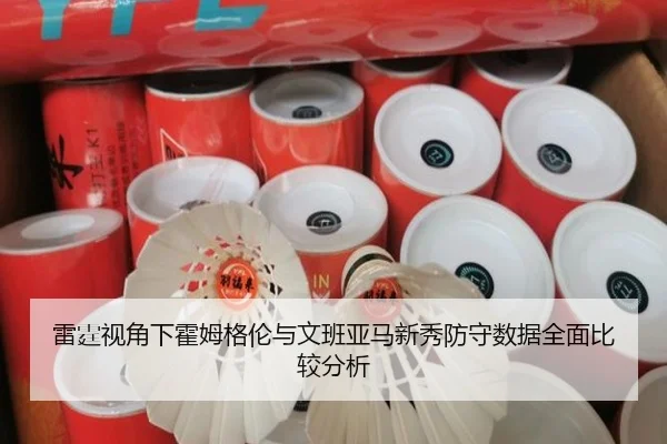 雷霆视角下霍姆格伦与文班亚马新秀防守数据全面比较分析