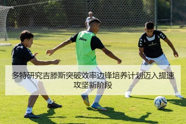 多特研究吉滕斯突破效率边锋培养计划迈入提速攻坚新阶段